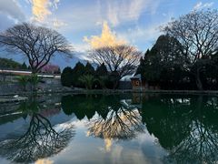 -崇圣寺三塔文化旅游区