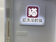 -爱洗澡的猫(天河路店)