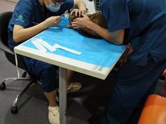 -伟伟宠物医院·CT影像中心·瑞派犬猫综合性门诊(汉口总院)