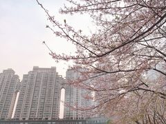 -西北湖绿化广场