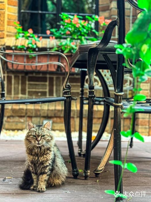 马勒别墅·中餐厅图片