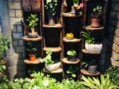 -慢丽江·云南野生菌土鸡锅(付家庄店)