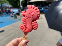 -大连老虎滩海洋公园