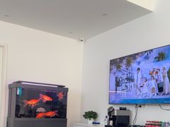 -北亚国超特斯拉授权钣喷中心