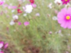 -山西体育中心红灯笼体育场