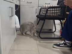 -佳雯宠物医院·皮肤科·内外科(春晓路分院)