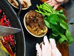 肥龙发鱿鱼-肥龙火锅(南坪店)