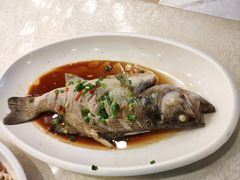 -国际海员俱乐部(餐饮部)