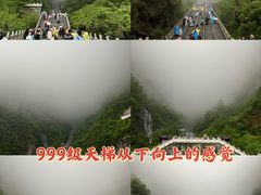 -张家界天门山国家森林公园