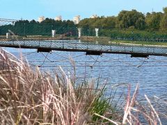 -羊亭河湿地公园