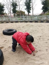 -前小桔亲子创意农场·草莓采摘·露营烧烤