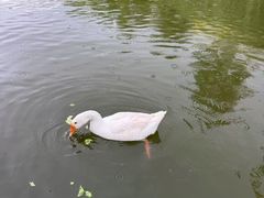 -南翠屏公园