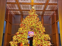 -养云安缦吧THE BAR