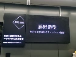 -藤野造型