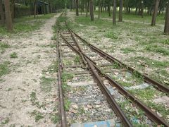 -合肥滨湖国家森林公园