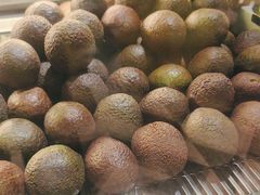 -油梨树 AVOCADO TREE(亮马桥店)