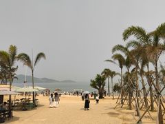 -汕尾风车岛