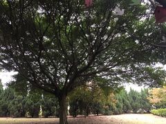 -南沙蒲洲花园