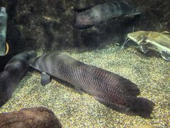 -太平洋海底世界