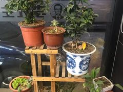 -李先生牛肉面大王(昌平鼓楼店)