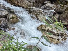-西岭雪山大飞水景区