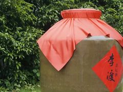 -八大山人梅湖景区