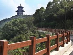 -杭州半山国家森林公园