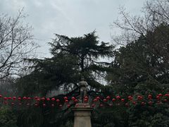 -伯先公园