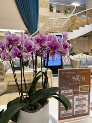 -伽美医疗美容医院·高端抗衰中心