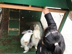 -成都安仁福朋喜来登酒店