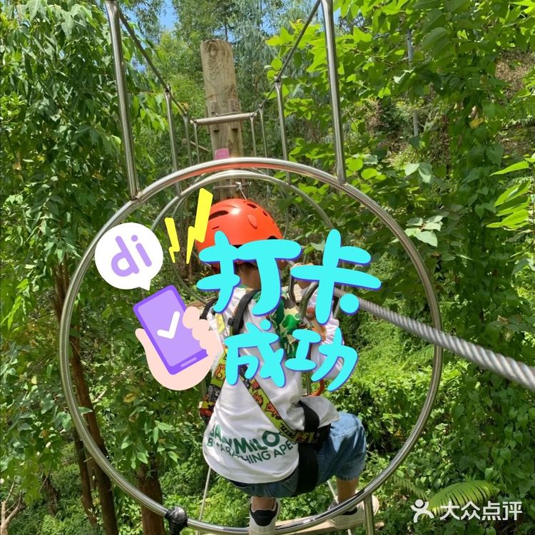 真的太棒了！️温馨提示：适合4-12岁的孩子
