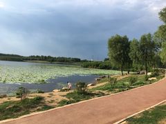 -丁香湖公园