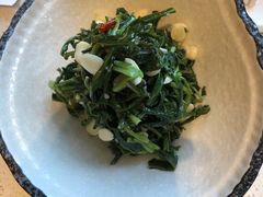 苦苦菜-伊祥·敦煌楼