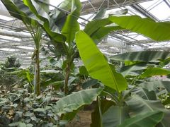 -泰山花样年华景区