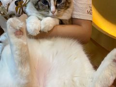 -白兔子密室(长寿路店)