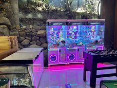 -将军关探险漂流