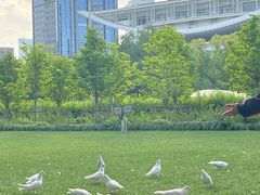 -上海博物馆