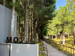 -玉苍山国家森林公园