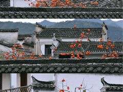 -塔川景区