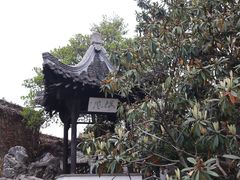 -何园