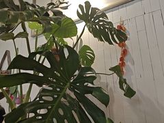 -懒人盐府人家·自贡大麻鱼(安贞店)