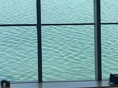 -抱抱地球咖啡馆(国家海洋博物馆店)