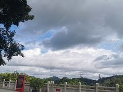 -深圳仙湖植物园