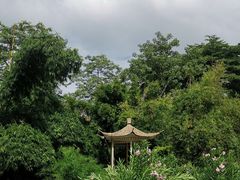 -晓港公园