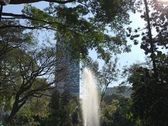 -九龙公园