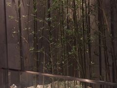 -九头鹰家宴(岳家嘴店)