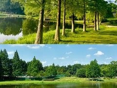 -亚龙湾国际玫瑰谷