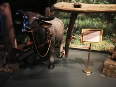 -贵州省博物馆(新馆)