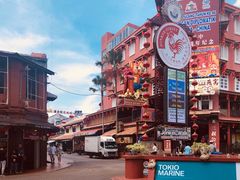 -马六甲鸡场街