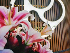 -润园四季椰子鸡火锅(南山海岸城店)